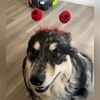 raynabanko03